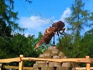 Supporting image for story: Outdoor scheme buzzing with success 