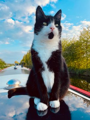 Hugo enjoying his time on the waterways.