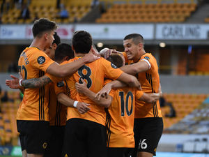 Supporting image for story: Wolves 2 Crystal Palace 0 – Report and pictures 