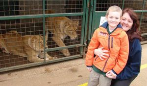 Josh and his mother Nikki got up close to some lions during his day as a keeper at Longleat Zoo