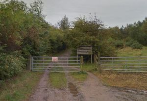 Hednesford Hills Local Nature Reserve. Photo: Google