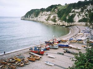 Supporting image for story: Peter Rhodes on wild nature, a new species for David and why it’s not the economy, stupid