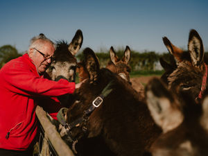 Supporting image for story: Uncertain future for popular Shropshire tourist attraction given months to find new home