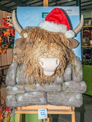 Photo: Ian Knight / Z70 Photography