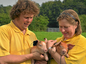 Supporting image for story: Piglets are stars of Market Drayton fundraising day