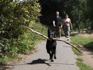 Supporting image for story: Parts of UK forecast to hit 34C during fourth summer heatwave