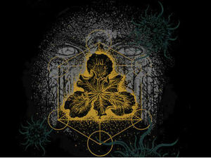 Supporting image for story: Review: YOB, Black Cobra and Opium Lord, Mama Roux's, Birmingham