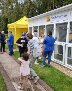 Cats Protection has built four pens for unwanted cats at the Chetwynd Firs Cattery in Newport