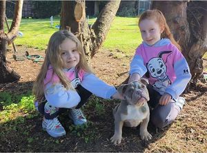 Cooper the dog with two of Jenna's children, Baileigh, aged four, and Iliana, aged 7, right