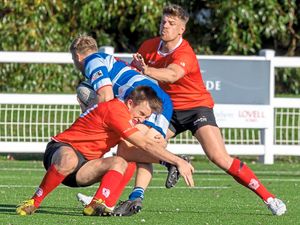 Supporting image for story: Walsall hold off fightback to progress