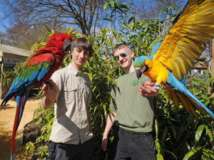 Supporting image for story: Wild zoo near Wolverhampton 'forced' to stay shut as other attractions open