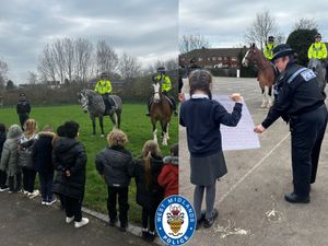 Supporting image for story: Dudley pupils meet West Midlands Police horses during special school visit