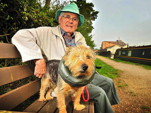 Supporting image for story: Staffies pounce on pet dog along Shropshire Union Canal