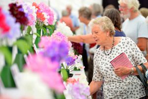 Crowds enjoyed the displays