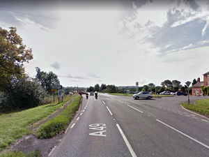 Supporting image for story: Chickens escape from back of lorry closing A49 near Ludlow