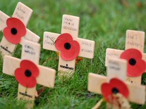 Supporting image for story: Remembrance Sunday: As we face our own challenges remember heroes safely from home 