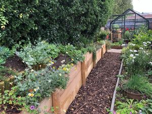 Supporting image for story: "The changing climate is challenging traditional gardening methods," the National Garden Scheme organisers say