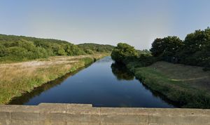 The River Tame was found to contain bee-killing pesticides