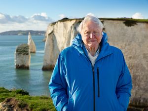 Sir David Attenborough standing in front of cliffs