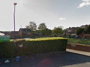 Supporting image for story: Caldmore school installs £10k fence to shield pupils from yobs