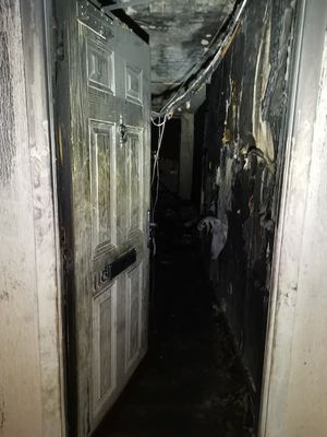 The blaze ripped through a number of apartments, with more than 50 firefighters working to tackle the fire