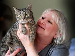 Debbie Brookes-Hemans, who runs Kats Cradle Cat Rescue.