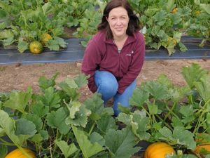 Supporting image for story: Popular pumpkin festival ready to welcome guests near Stafford