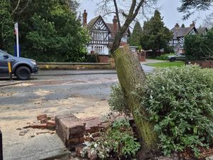 Supporting image for story: Peter Rhodes on power cuts, grisly punishments and what sort of weather will become 'the new normal'?