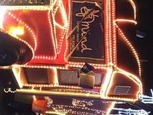 Supporting image for story: Here they go again! Telford family raising money for charity with incredible festive light display 