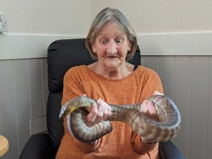 Supporting image for story: Sss-mile for the camera! Care home residents meet giant snakes, foxes - and a duck named James Pond