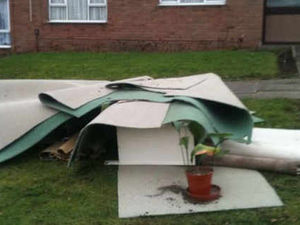 Supporting image for story: Pot plants and carpets removed in safety drive