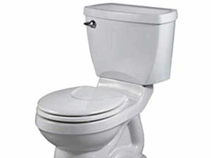 Supporting image for story: Peter Rhodes: The robots are taking over – starting in the loo