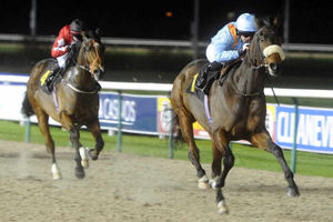 Supporting image for story: Win a luxury life down the bookies? Don't bet on it