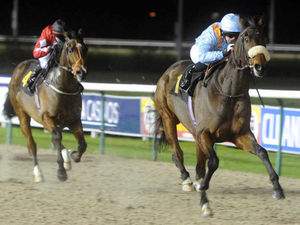 Supporting image for story: Win a luxury life down the bookies? Don't bet on it