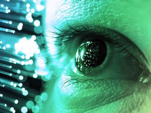 Supporting image for story: Scientists shed light on ‘seeing’ through others’ eyes