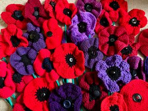 Just a few of the poppies ready for ‘planting’.