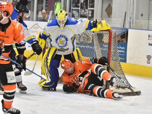Supporting image for story: Telford Tigers urged to keep belief