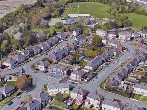 Supporting image for story: Bilston machete attack suspects released on bail