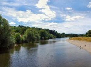 Supporting image for story: Call for 'more rigorous approach to monitoring phosphates' in River Wye