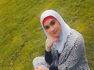 Supporting image for story