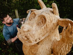 Supporting image for story: The Gruffalo moves into the woods near hospice in Shrewsbury