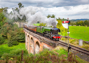 60103 'Flying Scotsman' on the SVR's Oldbury viaduct in 2016. Photo: Alan Corfield