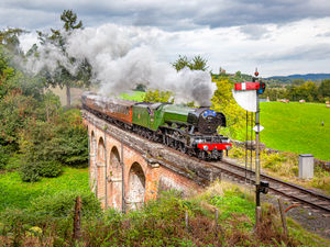 Supporting image for story: Tickets for world-famous Flying Scotsman's trip to Severn Valley Railway sell out in just three minutes