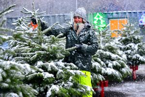Supporting image for story: Reader slams energy companies for ‘bleeding customers dry' - Your Letters and when December snow brought festive scenes to Bradshaws nurseries in 2017