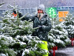 Supporting image for story: Reader slams energy companies for ‘bleeding customers dry' - Your Letters and when December snow brought festive scenes to Bradshaws nurseries in 2017