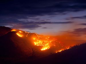 Supporting image for story: Carbon dioxide levels in atmosphere climb at record rate to new highs in 2024