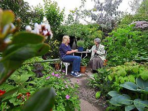 Supporting image for story: Halesowen garden with tropical twist