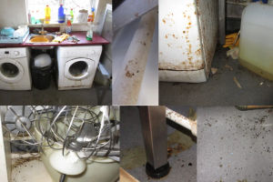 What inspectors found inside the eatery. Photo: South Staffordshire Council