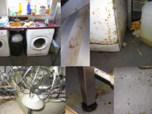Supporting image for story: Look inside dirty tea room near Stourbridge where inspectors found mice infestation