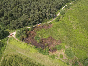 Supporting image for story: Fire crews extinguish 'deliberate' blaze at Cannock Chase